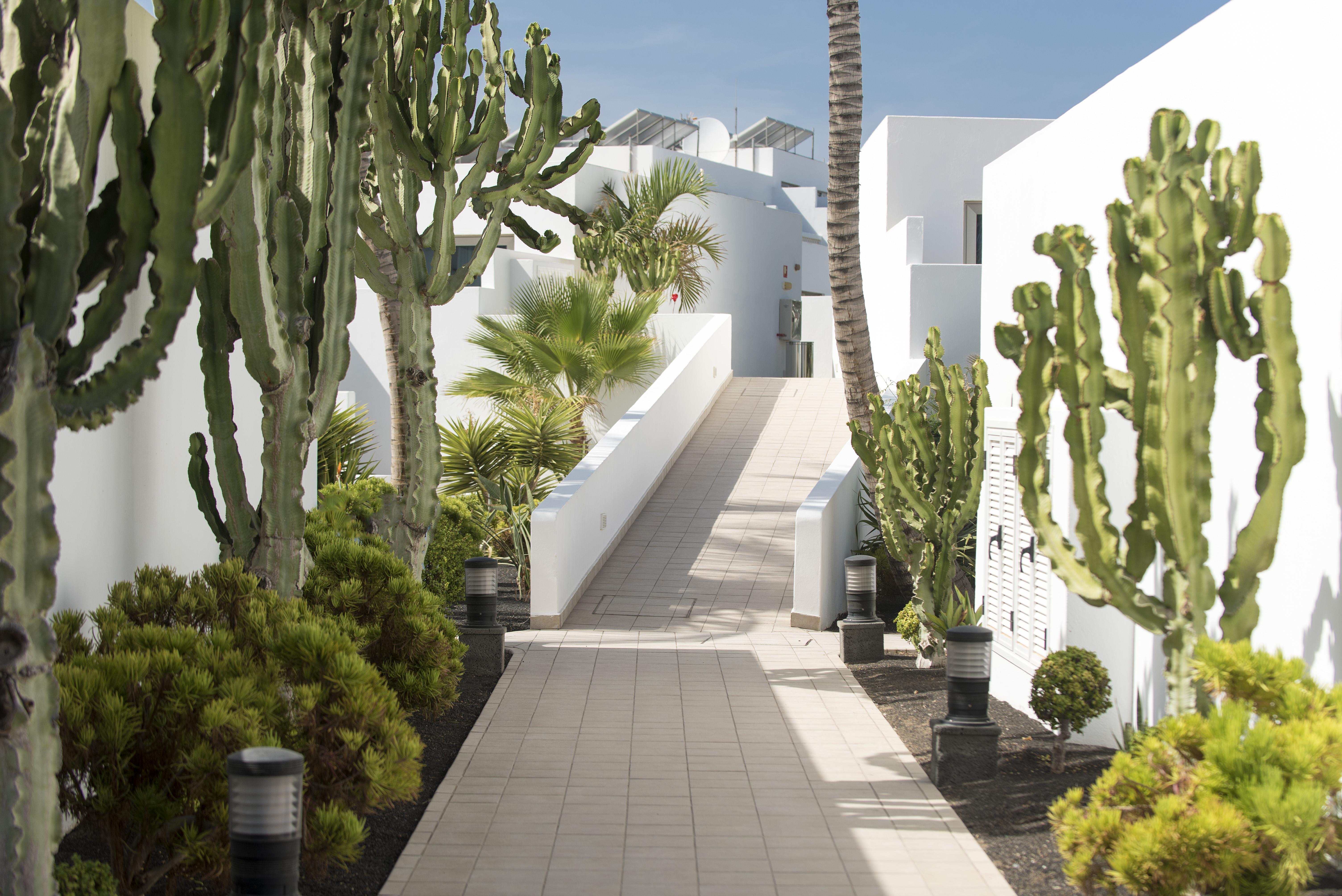 Hotel Las Costas Puerto del Carmen  Eksteriør billede